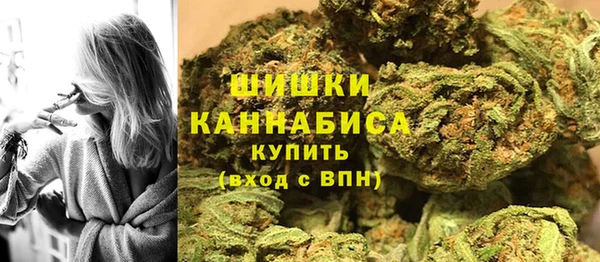 бошки Няндома