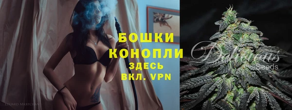 гашик Нягань
