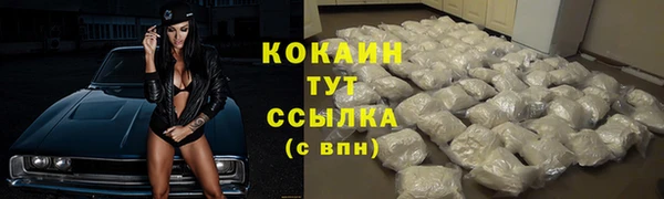 бошки Няндома