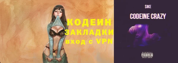 гашик Нягань