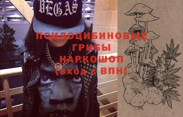 бошки Няндома