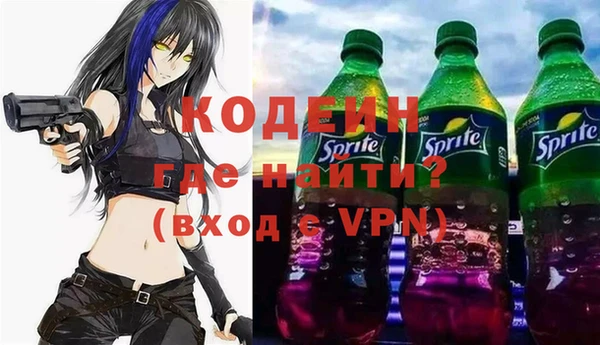 дмт Ельня