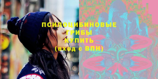 гашик Нягань