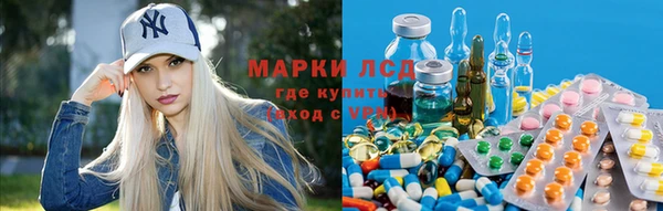 гашик Нягань