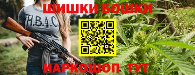 ECSTASY Гатчина