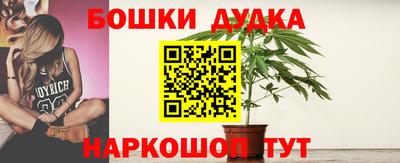 тгк Гай