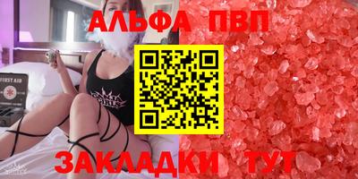 ECSTASY Гатчина