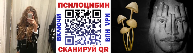 Псилоцибиновые грибы Psilocybe  закладка  Волоколамск 