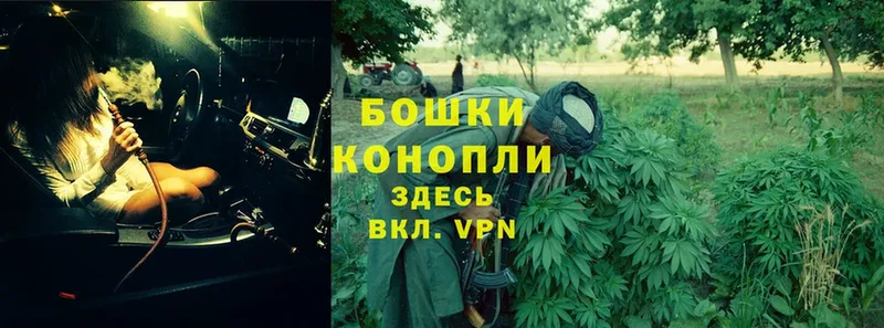 закладки  Волоколамск  Шишки марихуана Bruce Banner 